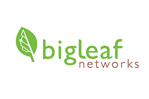 bigleaf